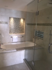 Shower & Jacuzzi Tub